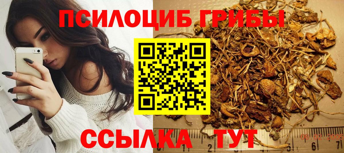 Псилоцибиновые грибы прущие грибы Омск