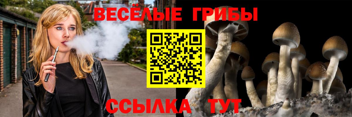 Галлюциногенные грибы прущие грибы  Вход с VPN  Омск 